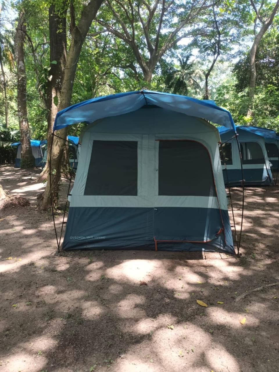 Happy Camping Arrecifes Dentro Del Parque Nacional Natural Tayrona El Coquito Bagian luar foto
